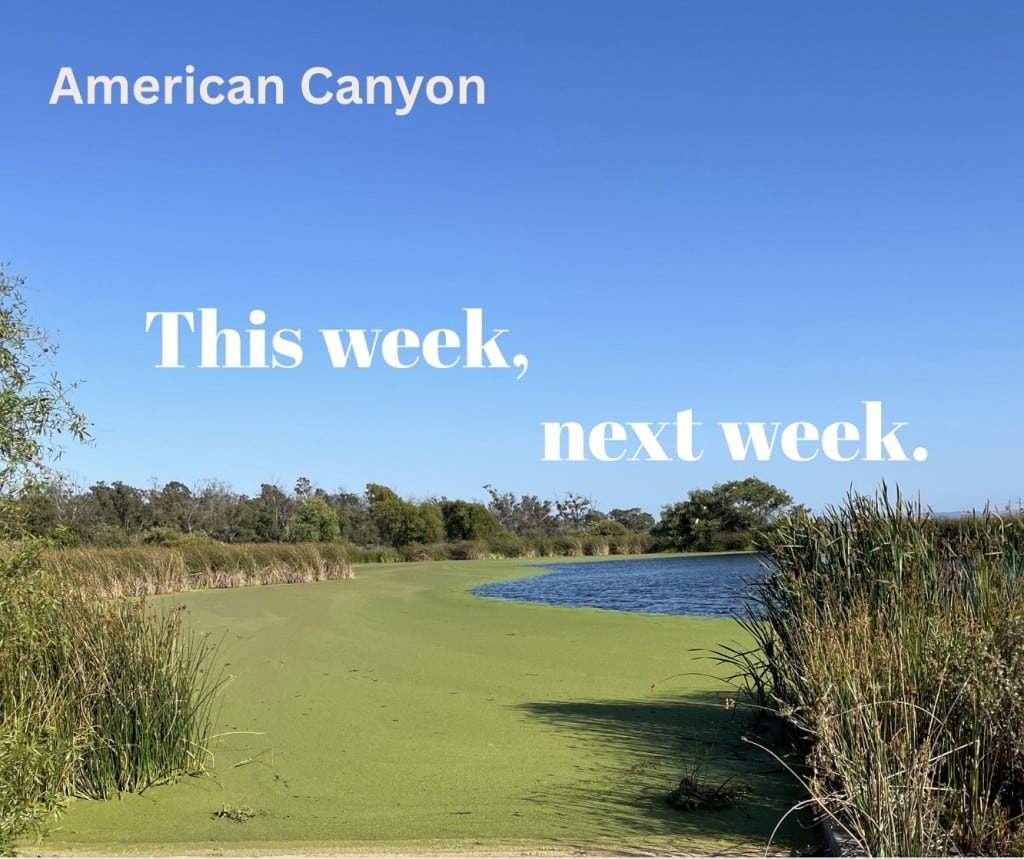 This Week Next Week American Canyon Header