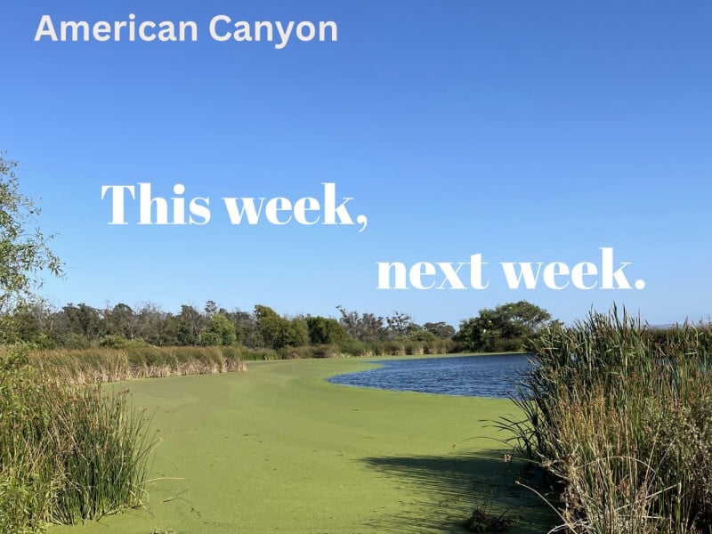 This Week Next Week American Canyon Header