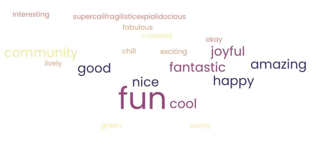 Words that attendees used to describe Meet Me in the Street