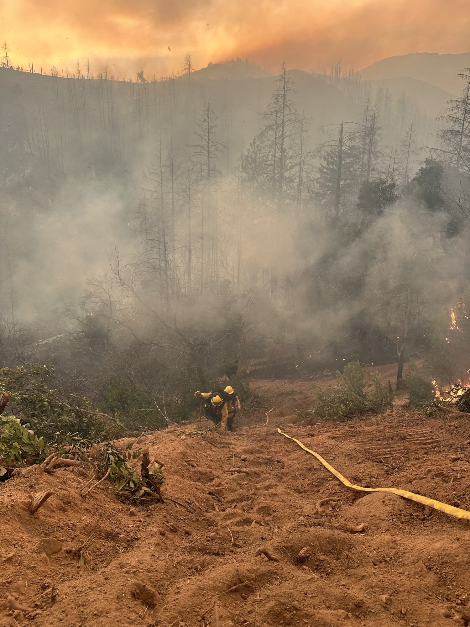American Canyon firefighters among first to Pickett Fire – The American ...