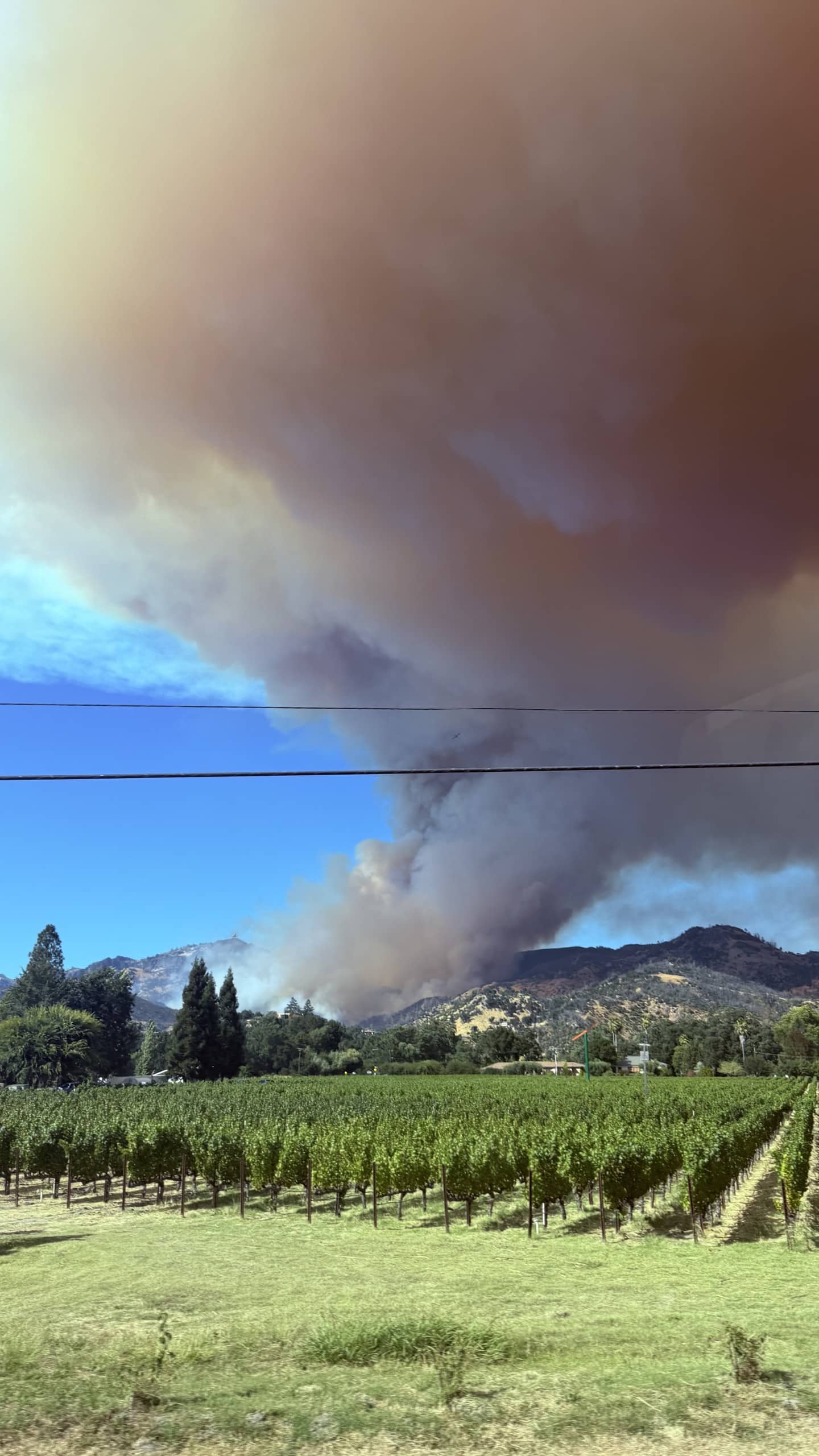American Canyon firefighters among first to Pickett Fire – The American ...