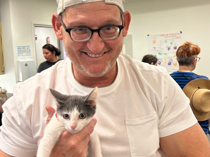 Bob Brich, of American Canyon, holds one of two cats he and his wife, Hilary, adopted Saturday at the American Canyon Library. Kerana Todorov photo