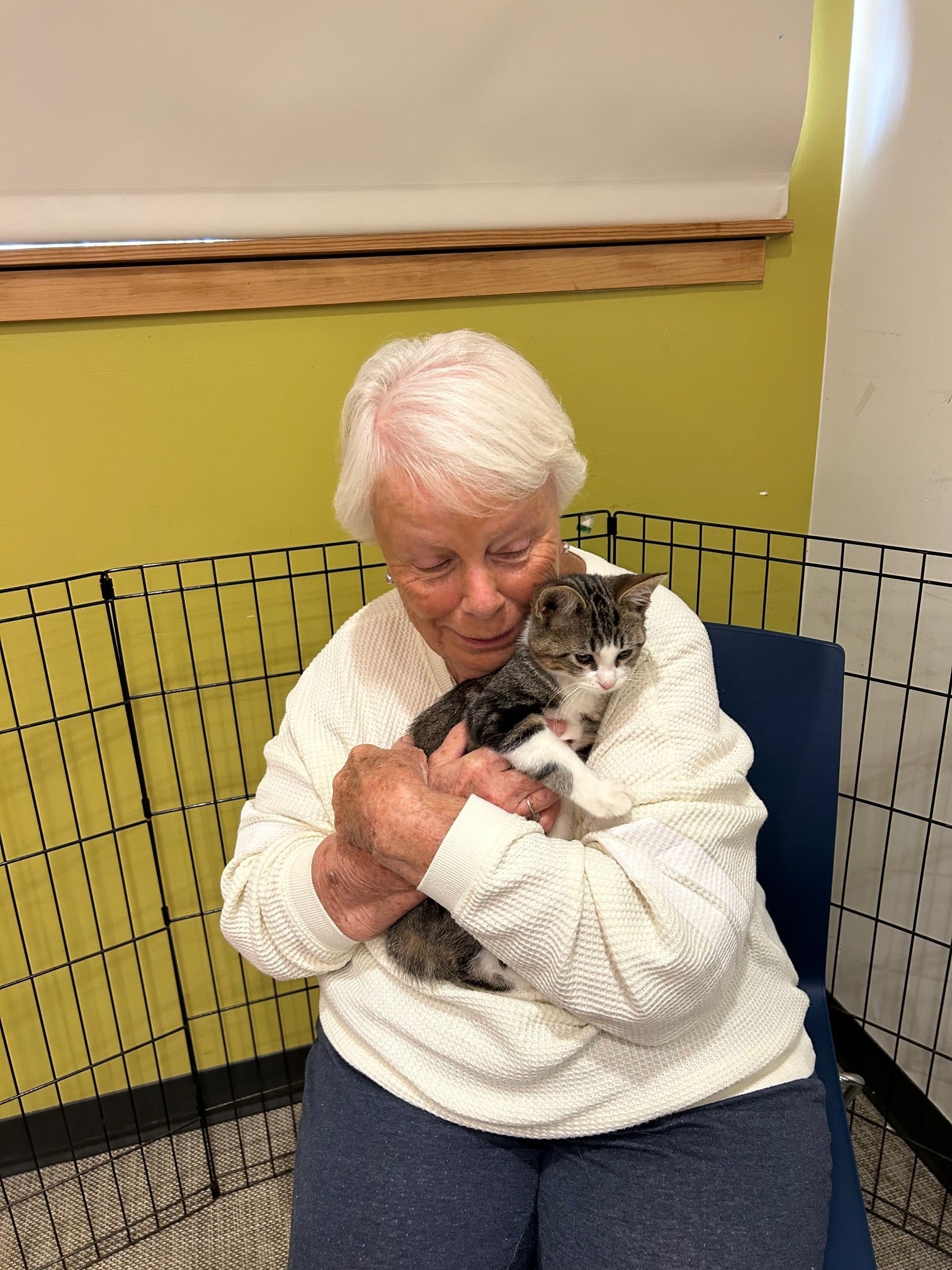 Sally Long, of Napa, holds a kitten she planned to adopt, in a pen set up as a meet-and-greet area at Saturday's cat adoption event at the American Canyon Library. Kerana Todorov photo