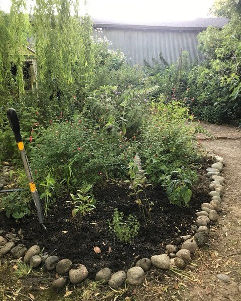 UC Master Gardener Cindy Watter's garden is tidied up for winter. Cindy Watter photo
