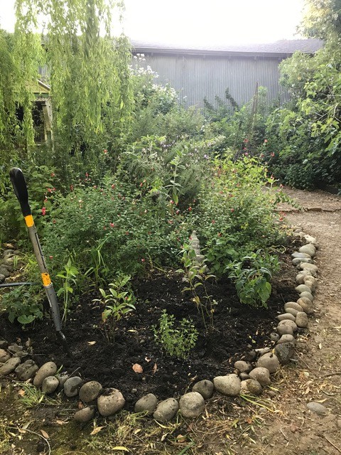 UC Master Gardener Cindy Watter's garden is tidied up for winter. Cindy Watter photo