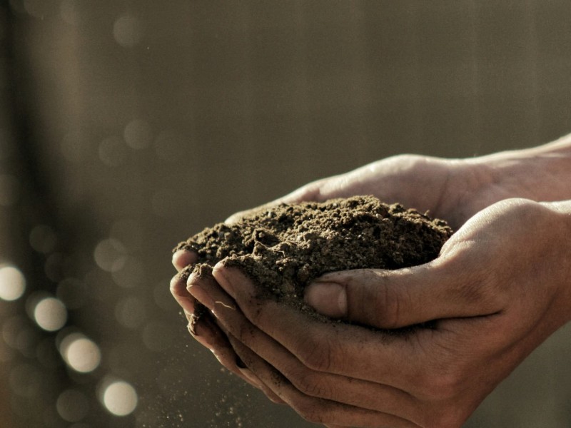 soil dirt master gardeners
