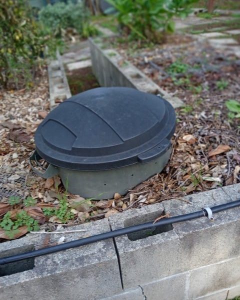 The author's compost bin buried in her keyhole garden bed. Penny Pawl photo