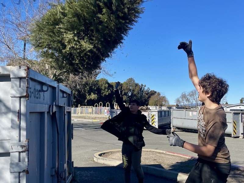 scouts tossing a Christmas tree into a recycling bin