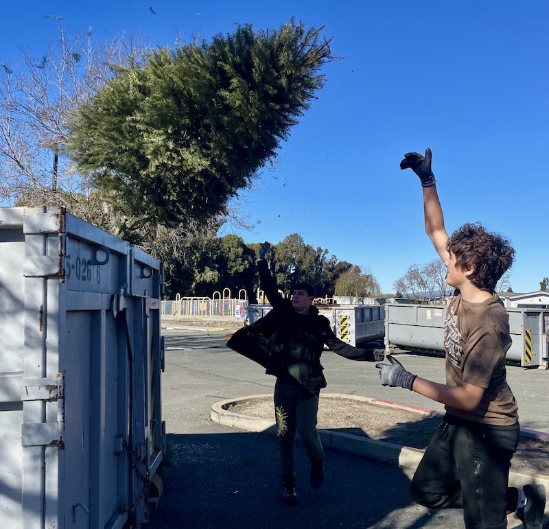 scouts tossing a Christmas tree into a recycling bin