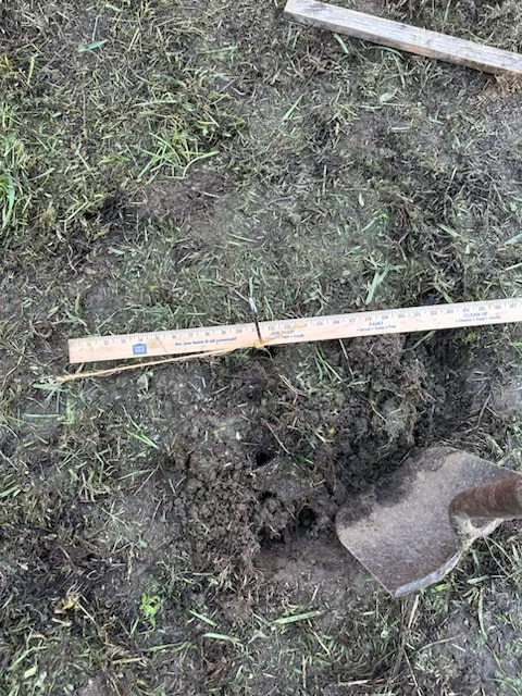 Sue Helms, due to avid composting, does not have trouble digging holes that she even measures when planting fruit trees. Sue Helms photo