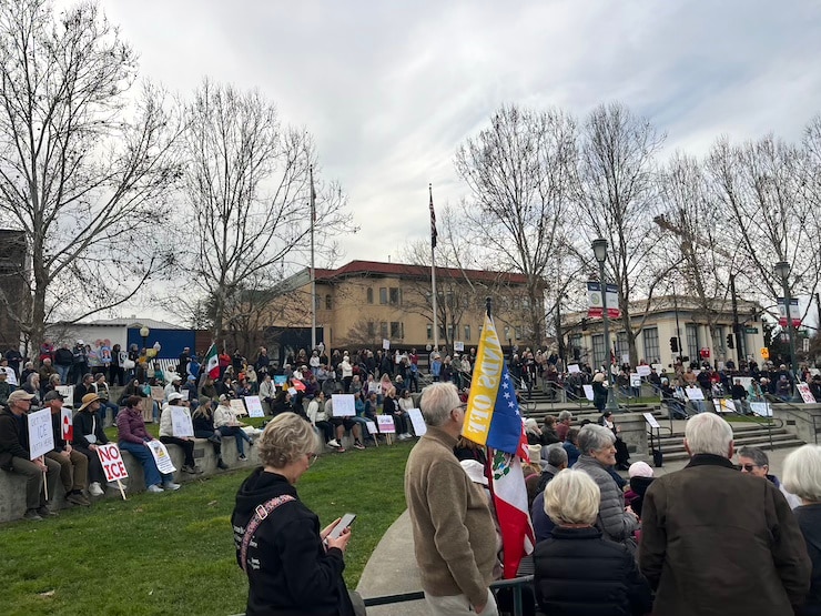 people protesters park fog