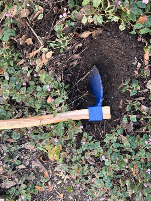 The author's "romantic" gardening gift, a forest adze. Cindy Watter photo