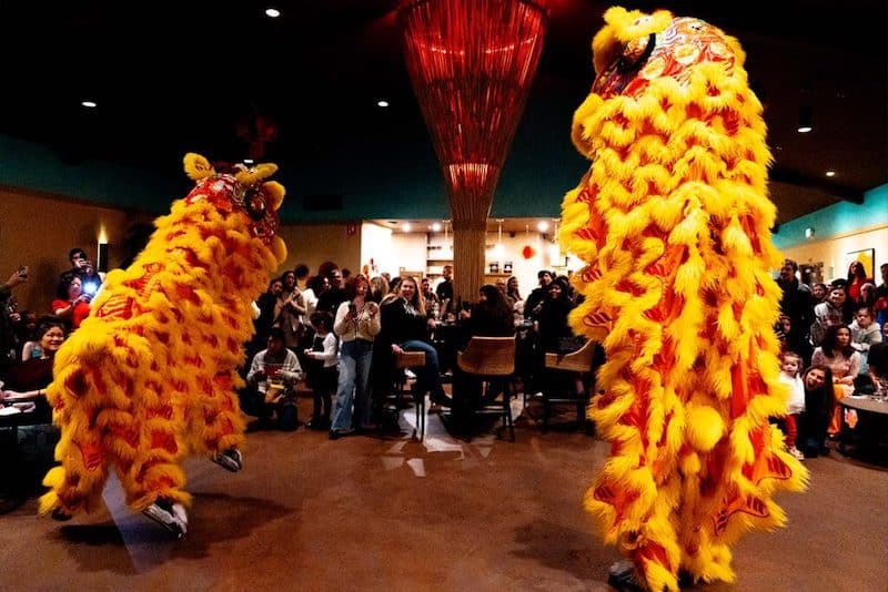 lion dancers in a room in front of a crowd of people