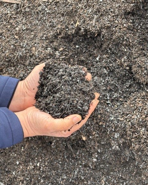 Finished municipal compost. Cindy Watter photo