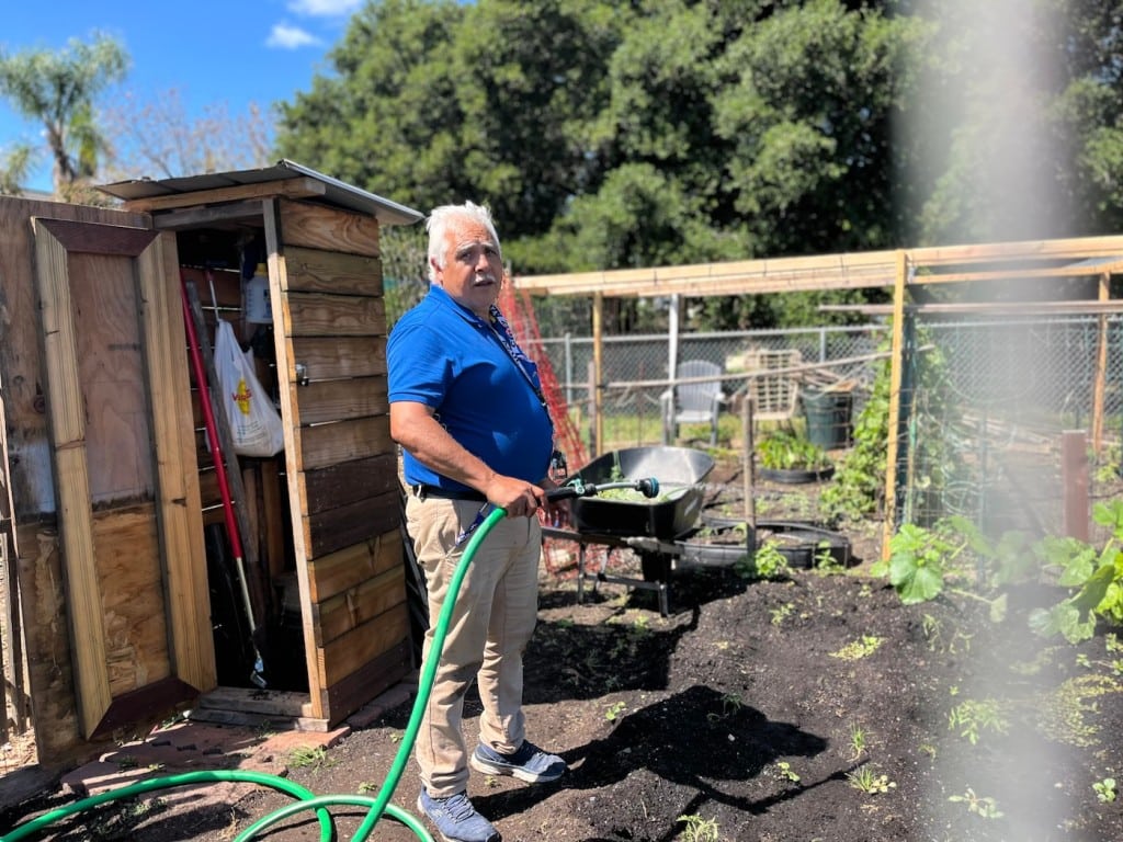 man standing with hose watering plants