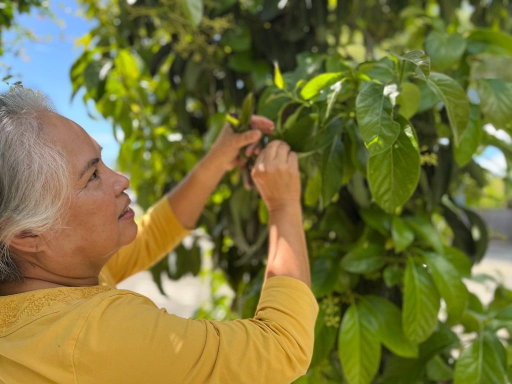 woman pruning tree