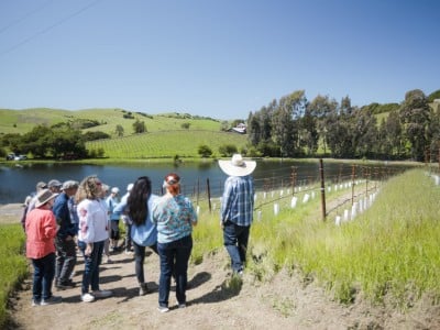 group of people looking over a lake in a vineyard