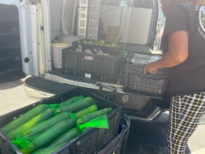 woman packing food into a van