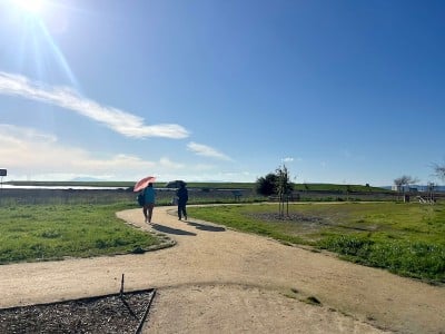 two people walking on a trail through grassy marshland on a sunny day