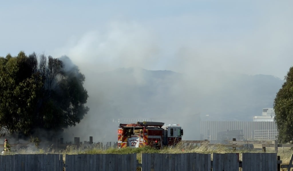 smoke filled air and a tree and fire truck